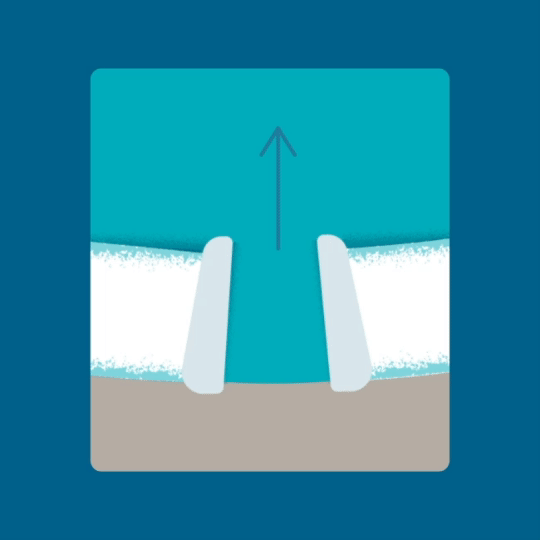 Diagram of water molecules moving through an aquaporin-3 channel